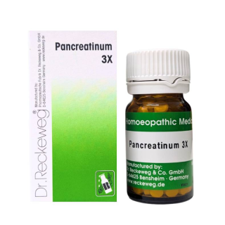 Dr. Reckeweg Pancreatinum 3X