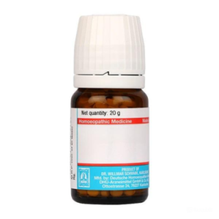 Schwabe Calcarea Fluor 12X (20g)