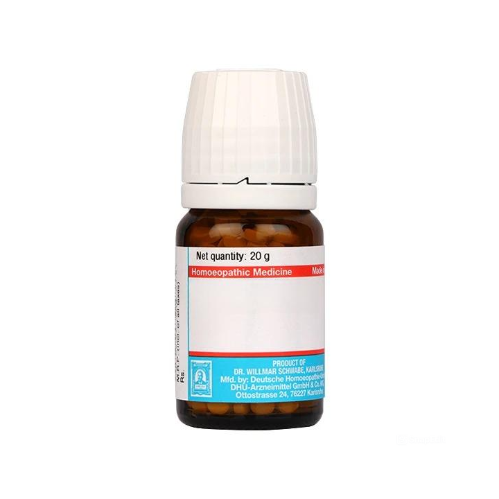 Schwabe Natrum Sulph 6X (20g)
