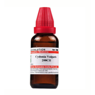 WSI Cydonia Vulgaris 200CH (Sealed)