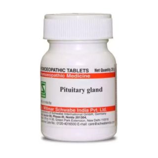 WSI Pituitary Gland 3X