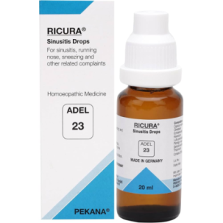 Adel 22 (Renelix)