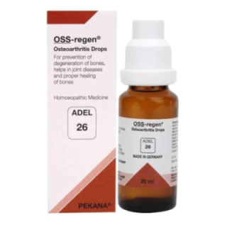 Adel 26 (Oss-Regen)