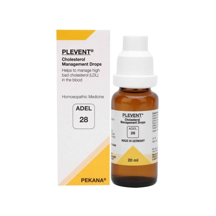 Adel 28 (Plevent)