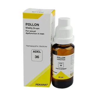 Adel 36 (Pollon)