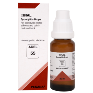 Adel 55 (Tinal)