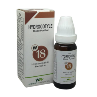 Warsan No. 18 (HYDROCOTYLE)