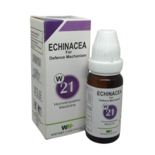 Warsan No. 21 (ECHINACEA)