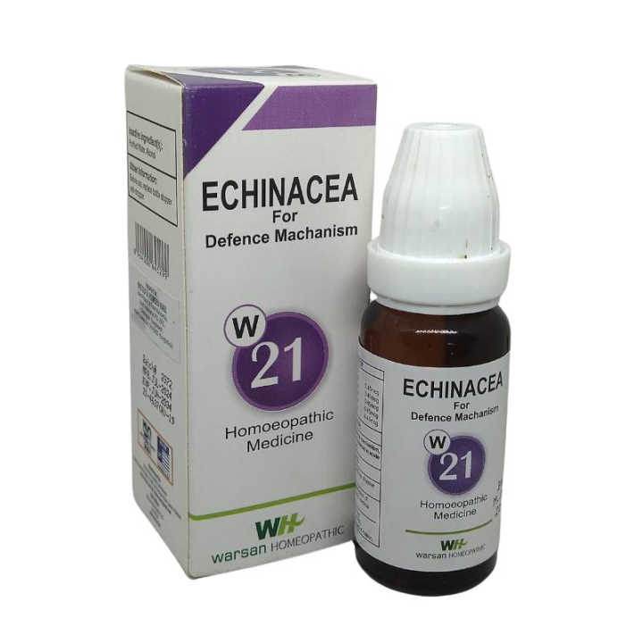 Warsan No. 21 (ECHINACEA)